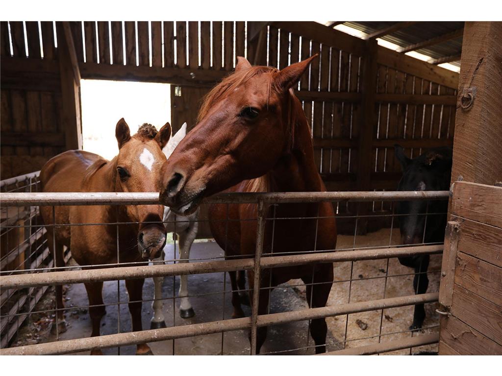 53253 W Grindstone Road Dell Grove Twp MN 55072 7028645 image20