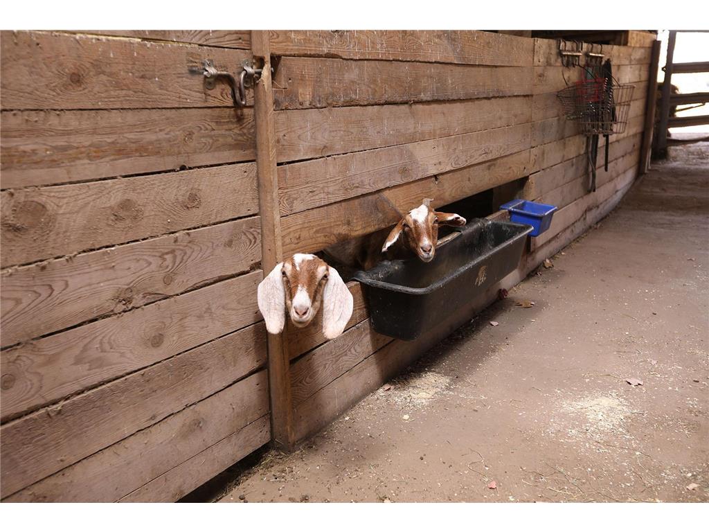 53253 W Grindstone Road Dell Grove Twp MN 55072 7028645 image21