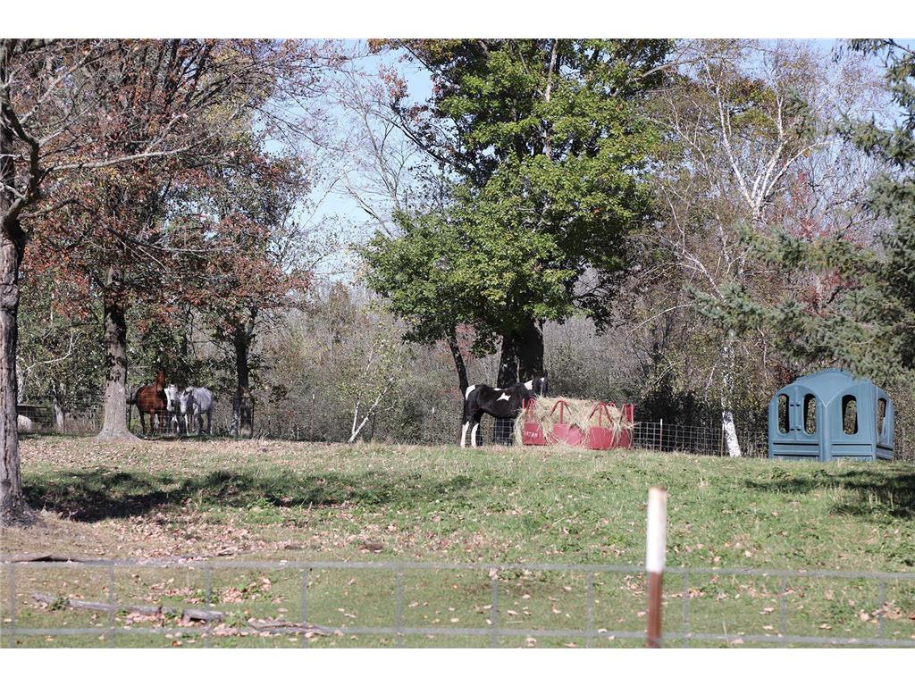 53253 W Grindstone Road Dell Grove Twp MN 55072 7028645 image24