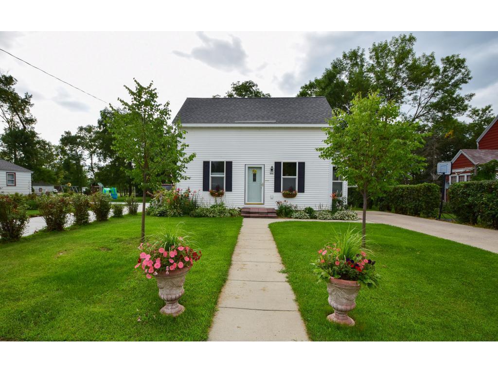 533 Lowery Avenue, Belgrade, MN, 56312 MLS 6551854 Edina Realty