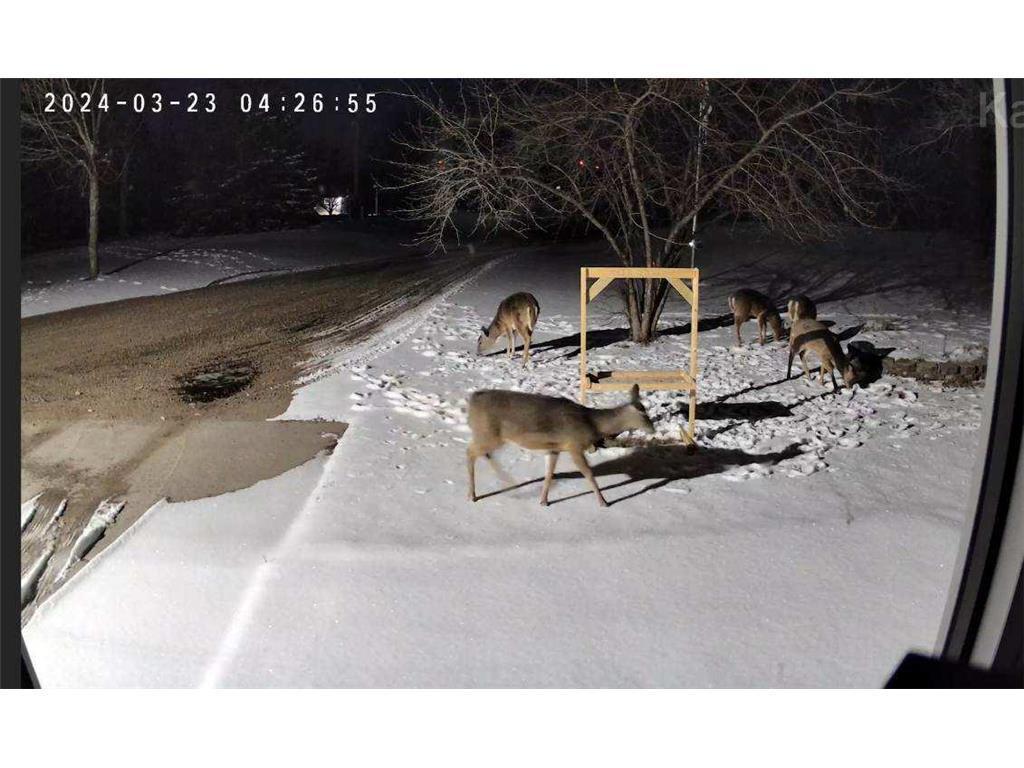 5334 State Highway 27 W Alexandria MN 56308 6825576 image26