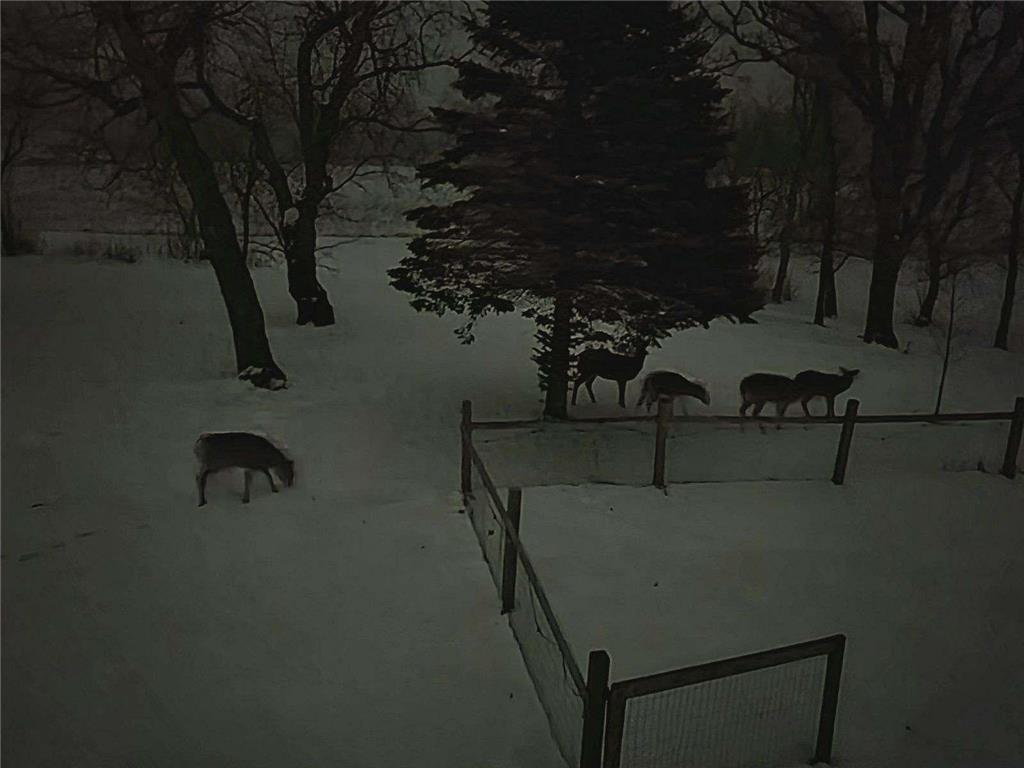 5334 State Highway 27 W Alexandria MN 56308 6825576 image27