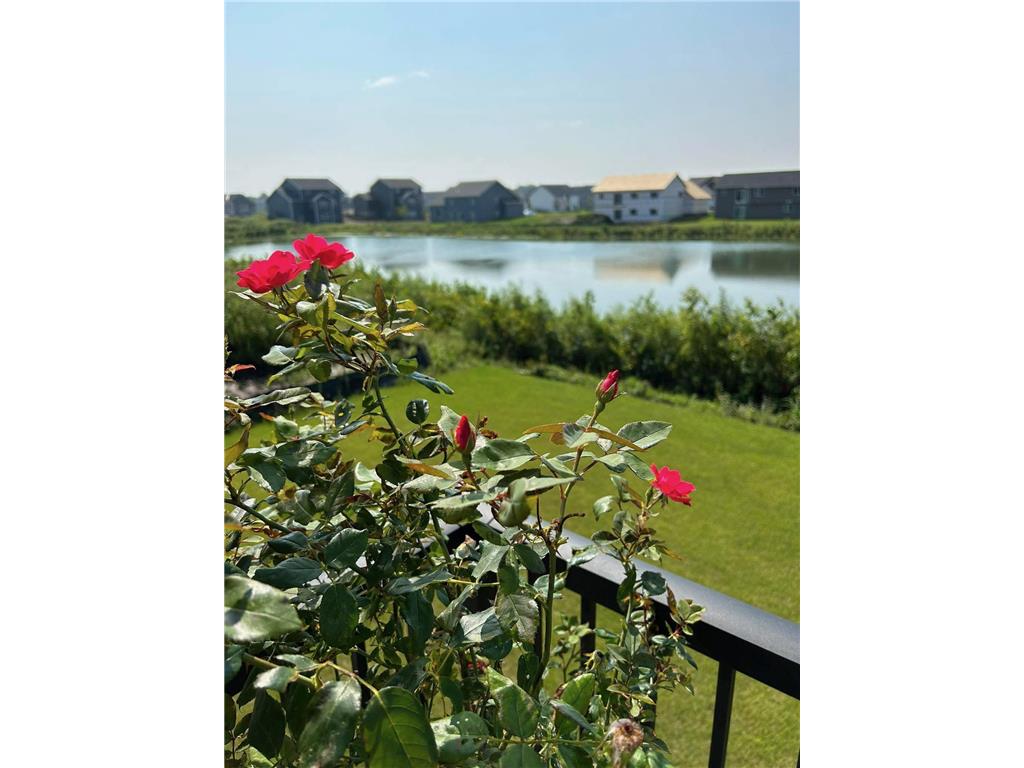 5336 W 177th Street Lakeville MN 55044 6820237 image3