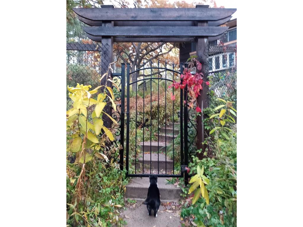 5338 Highland Rd Minnetonka MN 55345 - Wing 7021365 image11