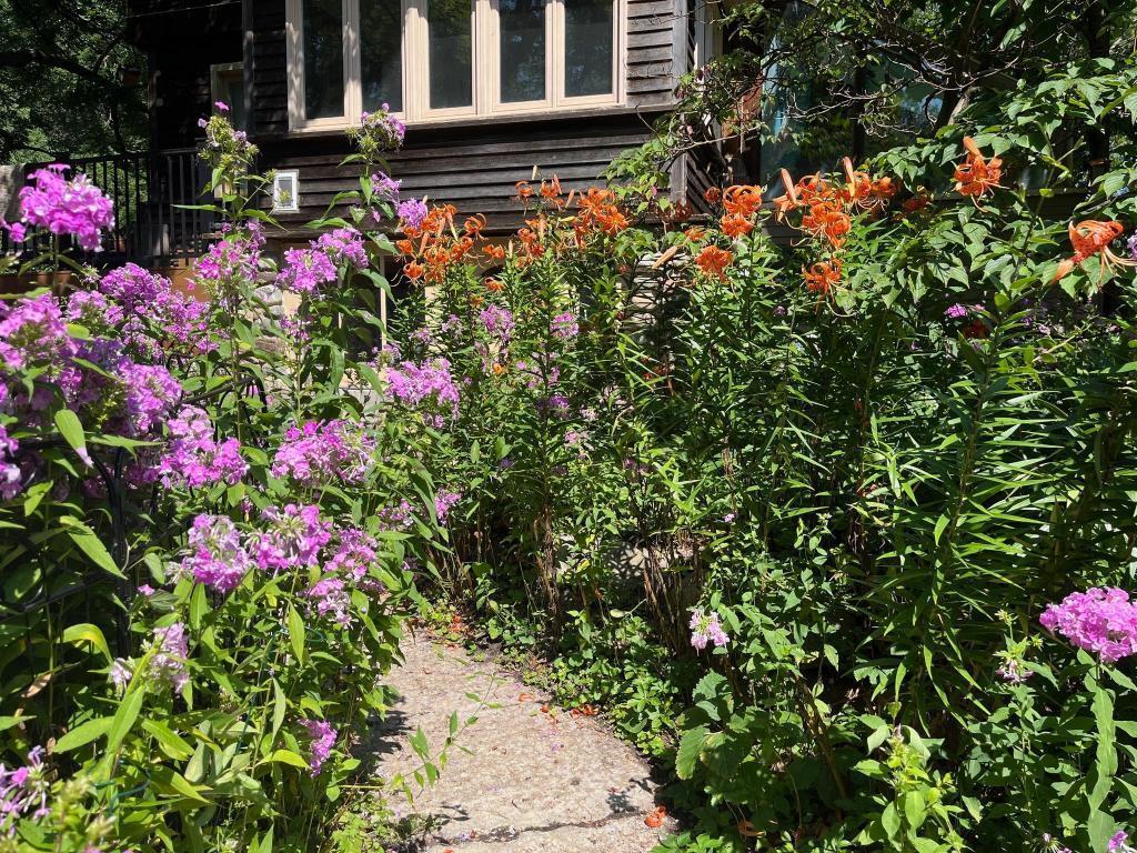 5338 Highland Rd Minnetonka MN 55345 - Wing 7021365 image12