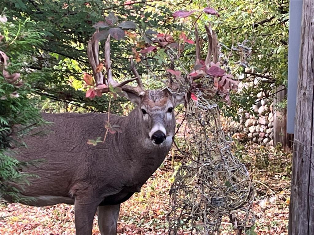 5338 Highland Rd Minnetonka MN 55345 - Wing 7021365 image20