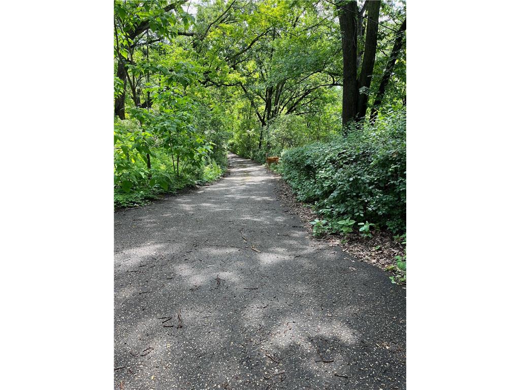 5338 Highland Road Minnetonka MN 55345 - Wing 7021371 image4