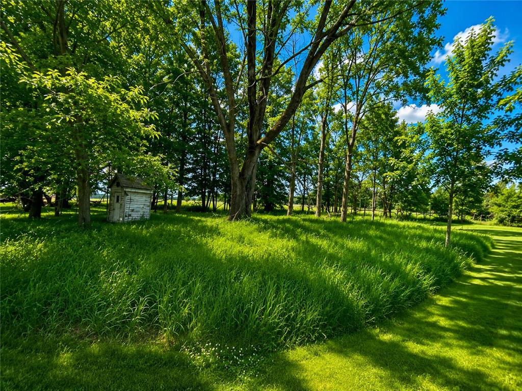 53393 Minnesota Street Homestead Twp MN 56567 7090623 image5