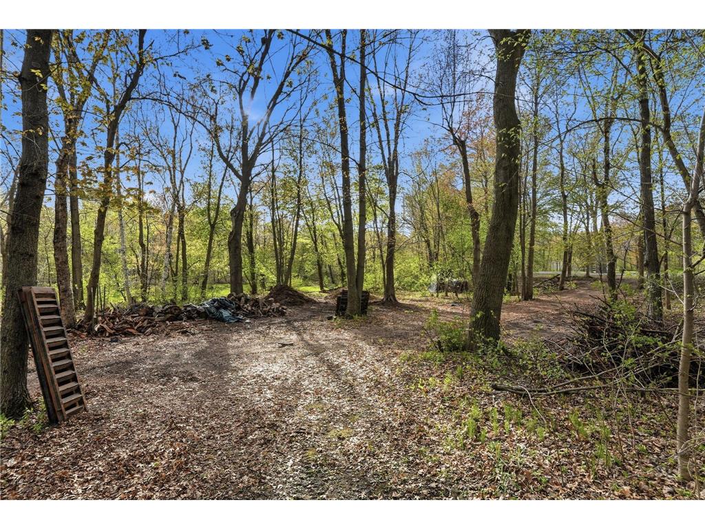 534 168th Avenue NE Ham Lake MN 55304 7081142 image46