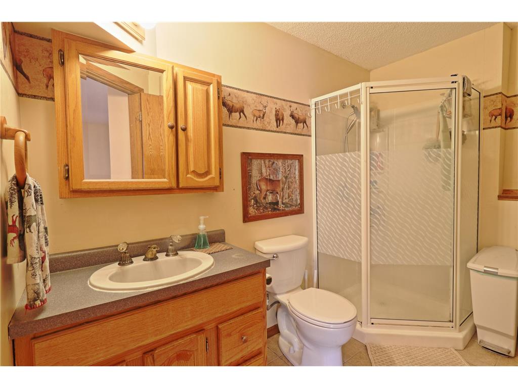 5340 141st Avenue NW Ramsey MN 55303 7087888 image26