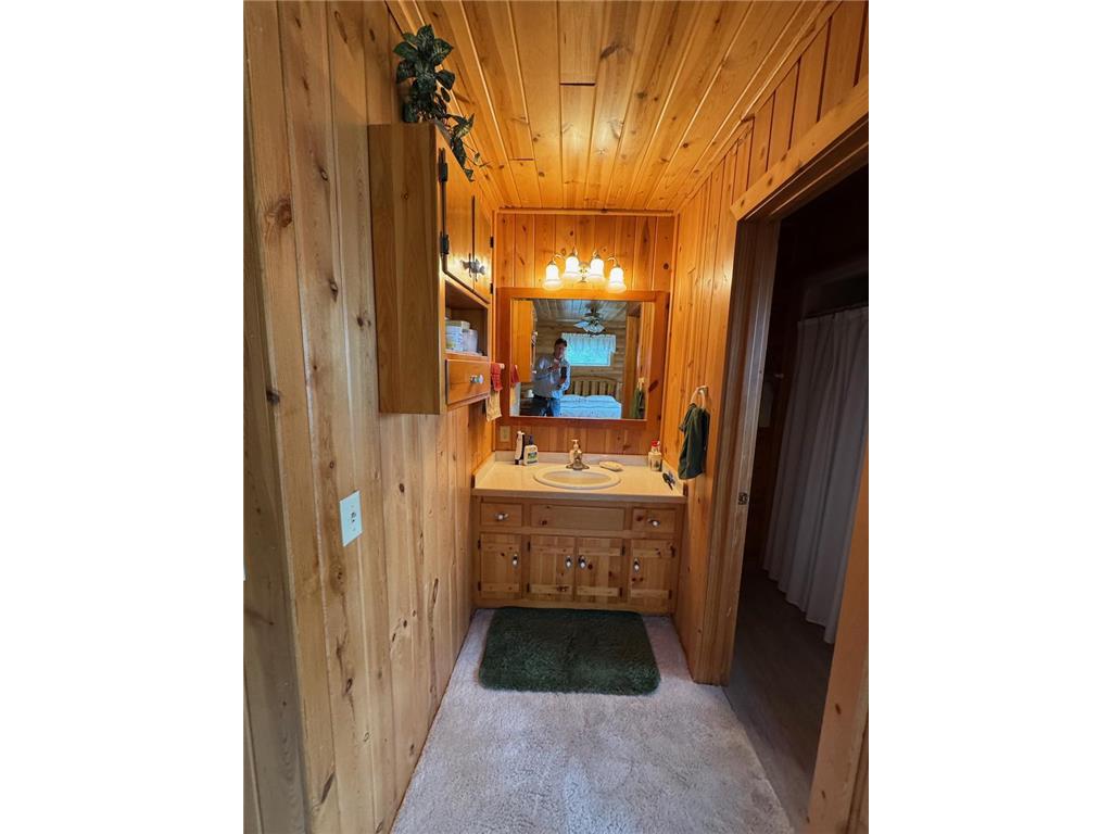 53401 Arbor Ridge Road NE Waskish Twp MN 56685 - Red 7095241 image20