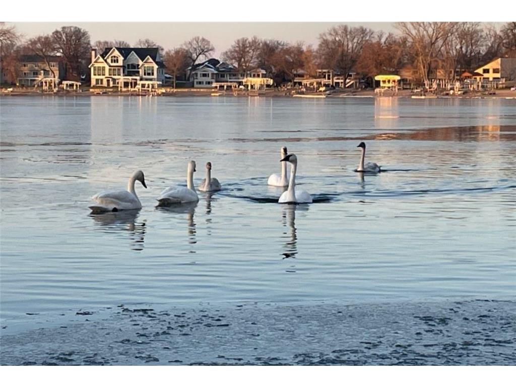 5344 Candy Cove Trail SE Prior Lake MN 55372 - Lower Prior 6813745 image67