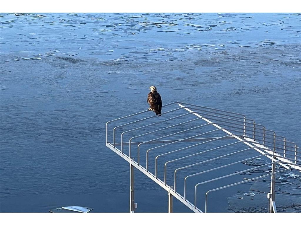 5344 Candy Cove Trail SE Prior Lake MN 55372 - Lower Prior 6813745 image71