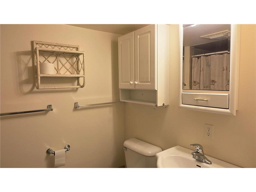 535 W 1st Street Cottonwood MN 56229 7051361 image25