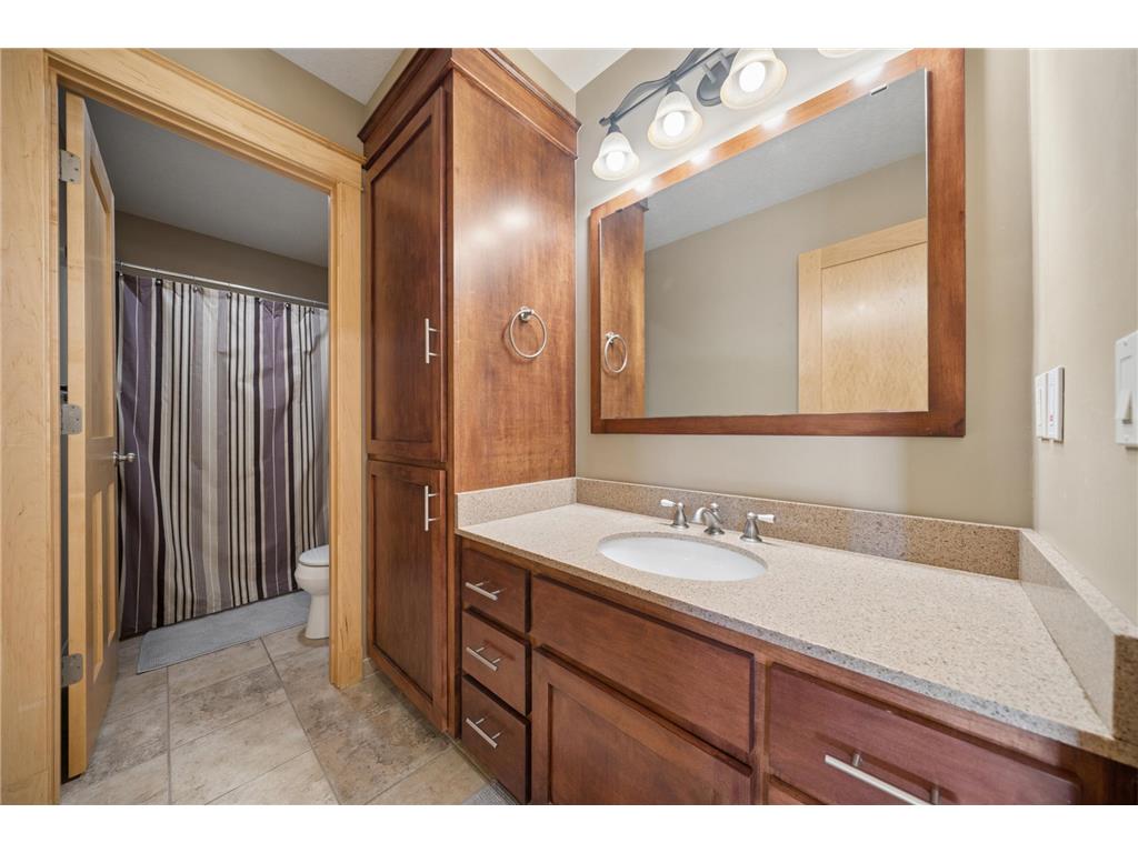 5352 Scenic Oak Drive SW Rochester MN 55902 - Willow Creek 7093750 image47