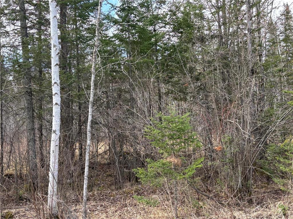 5358 E Four Corners Road Cromwell MN 55726 7070275 image1
