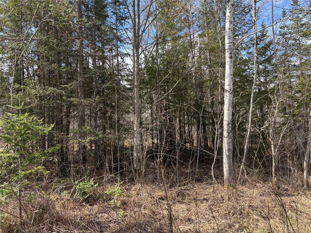 5358 E Four Corners Road Cromwell MN 55726 7070275 image2
