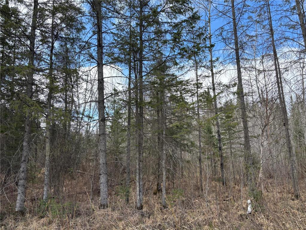 5358 E Four Corners Road Cromwell MN 55726 7070275 image3