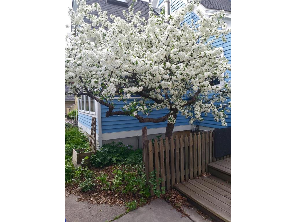 536 Dayton Avenue Saint Paul MN 55102 7025582 image30