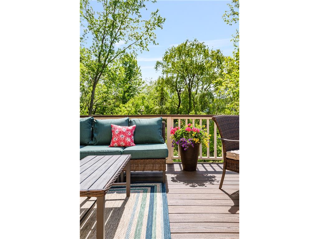 536 Newman Trail Stillwater MN 55082 7022723 image6