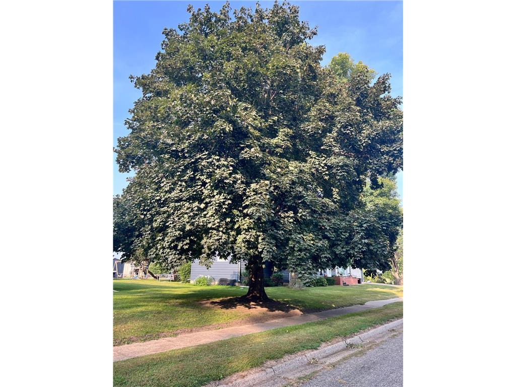 537 E Ronning Avenue Appleton MN 56208 6785885 image19