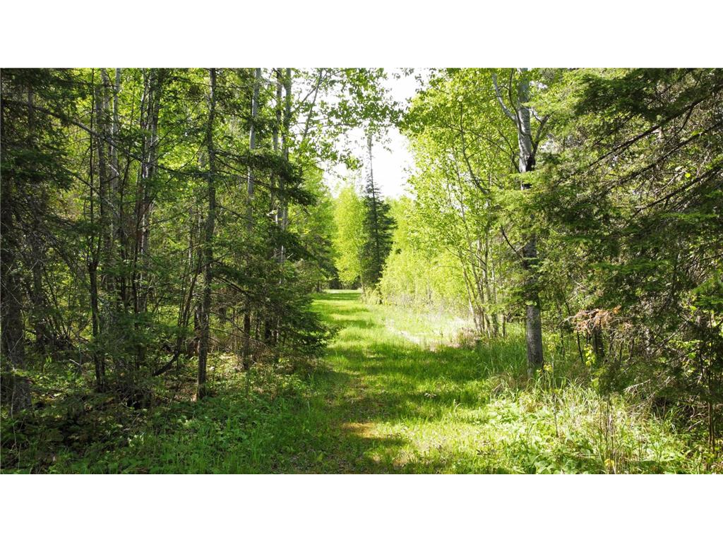 5377 Mcquade Road Lakewood Twp MN 55804 7033914 image15