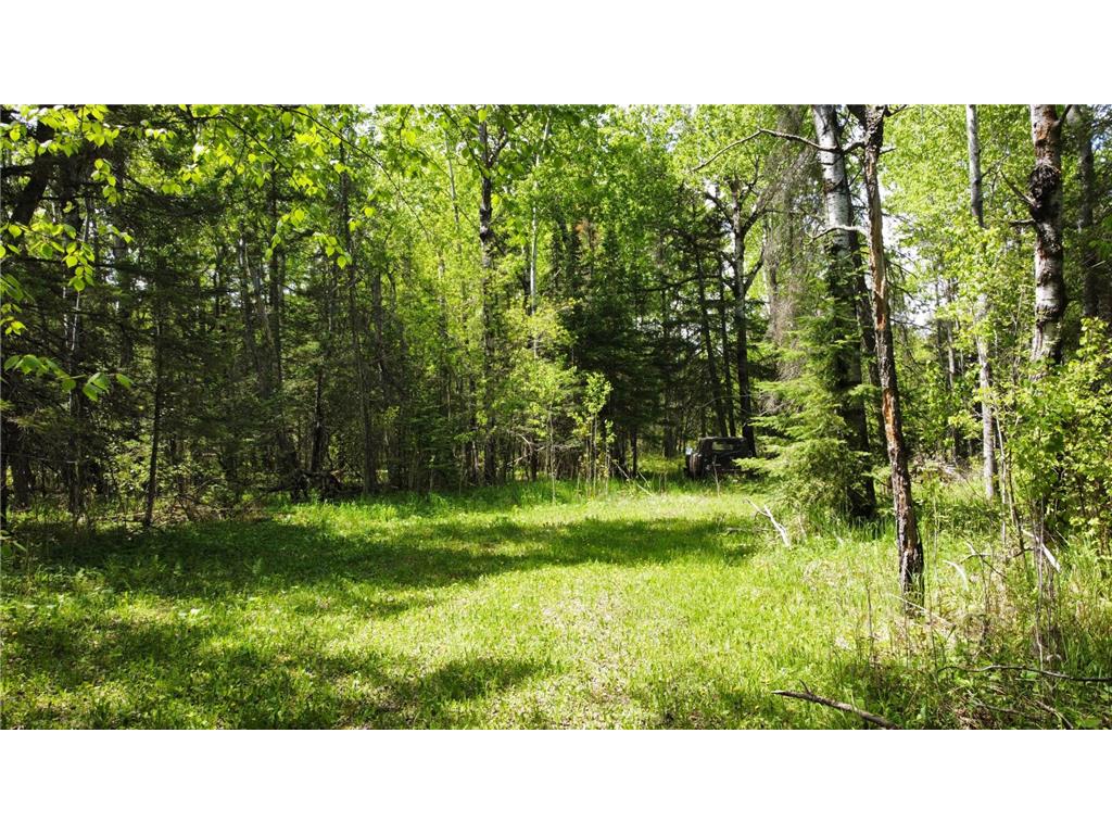 5377 Mcquade Road Lakewood Twp MN 55804 7033914 image16