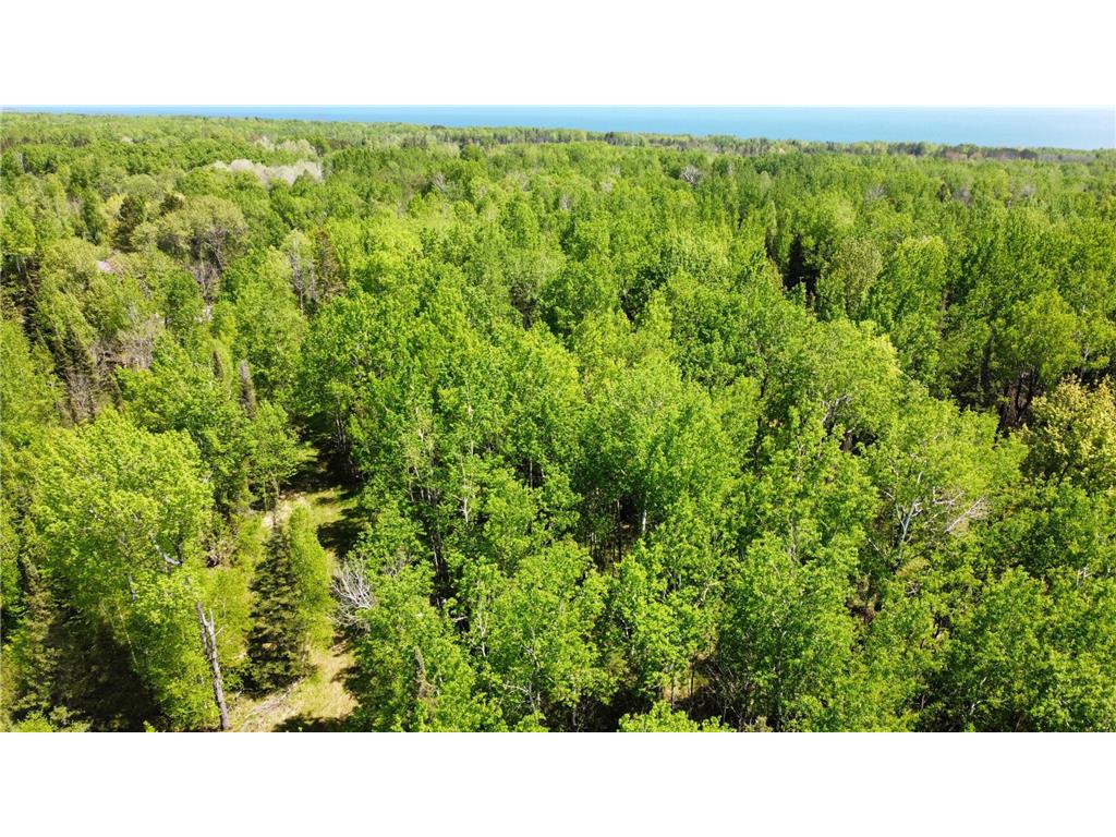 5377 Mcquade Road Lakewood Twp MN 55804 7033914 image17