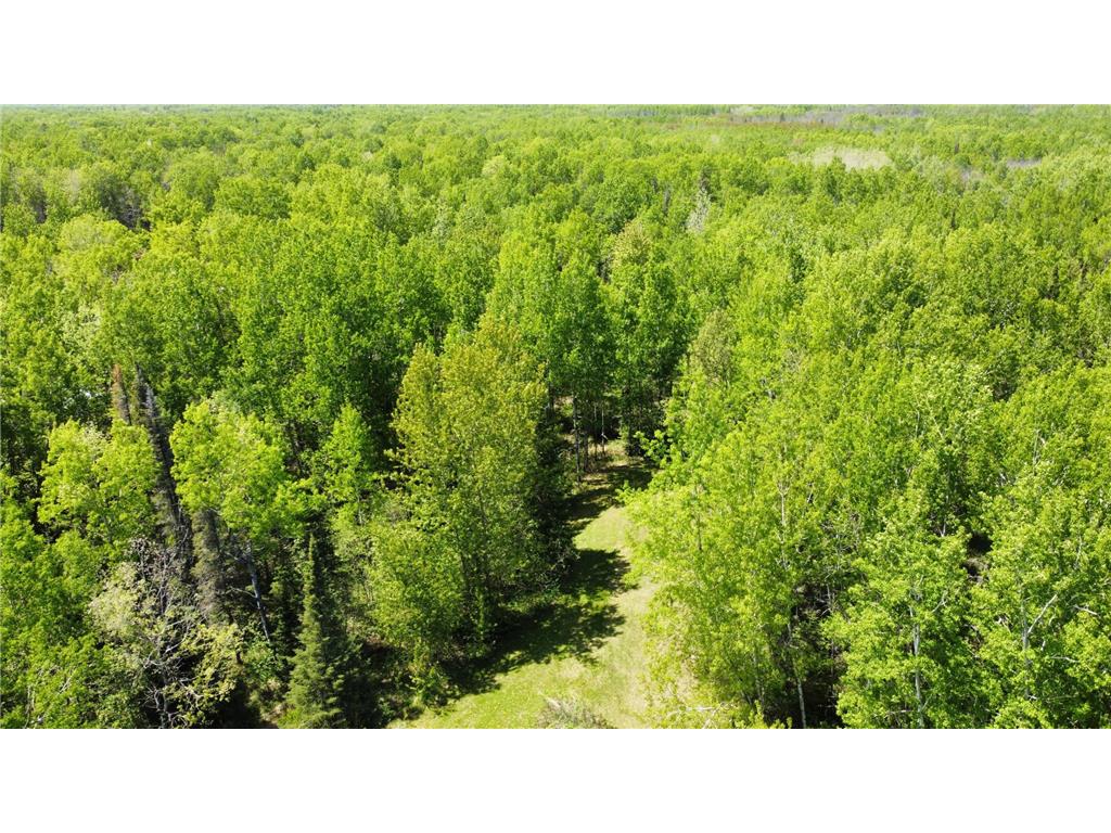 5377 Mcquade Road Lakewood Twp MN 55804 7033914 image21