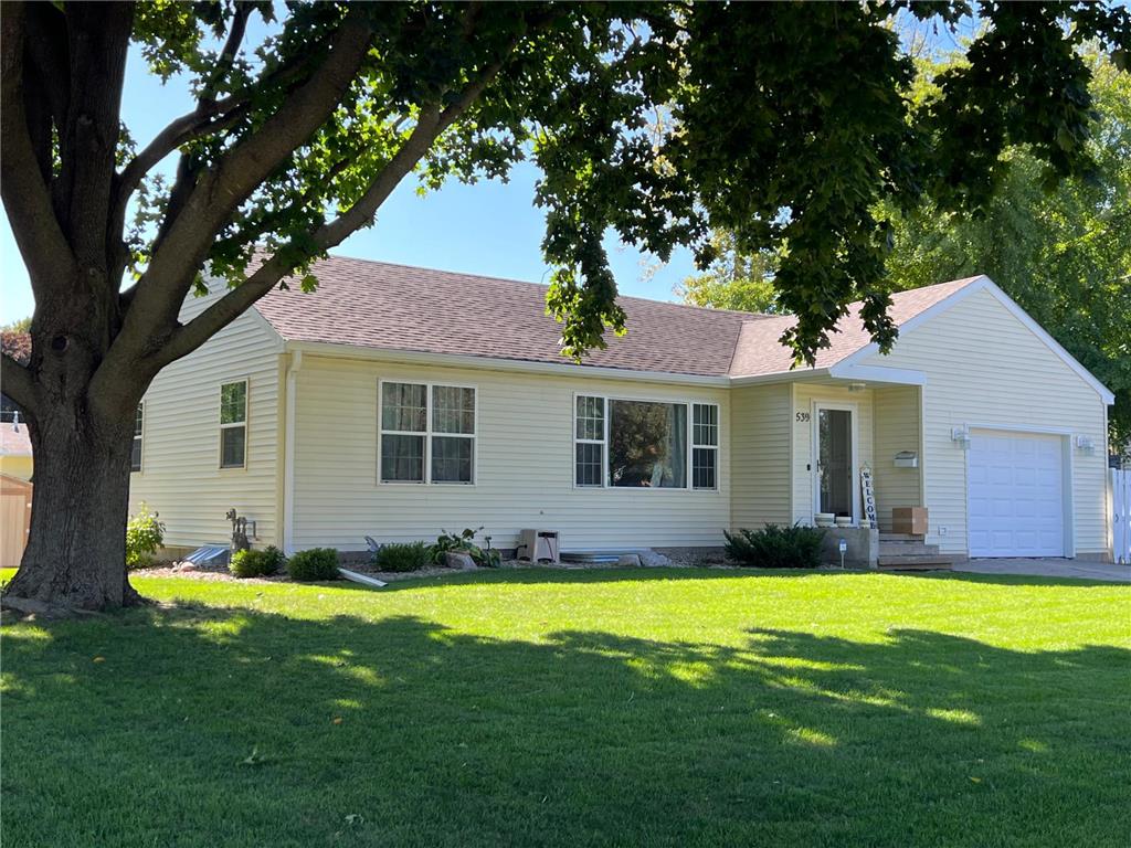 539 South Street Owatonna MN 55060 6463958 image1