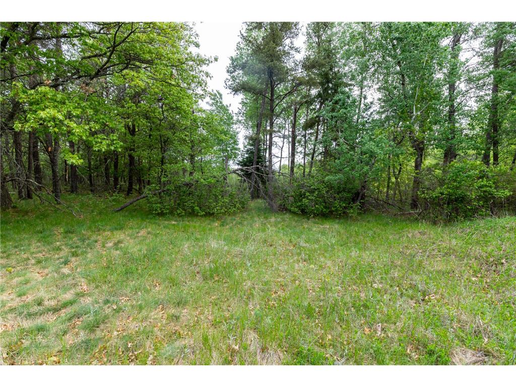 5394 Clearwater Road Baxter MN 56425 - Red Sand 6722029 image8