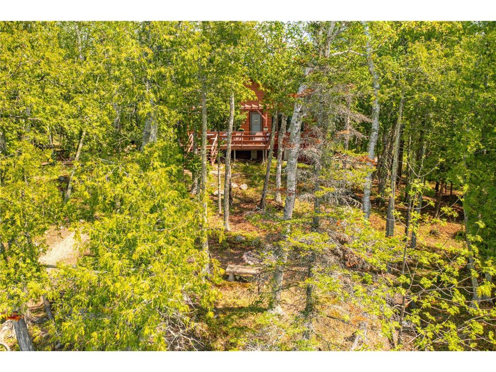 5399 Pine Island N Tower MN 55790 - Vermilion 7084555 image21