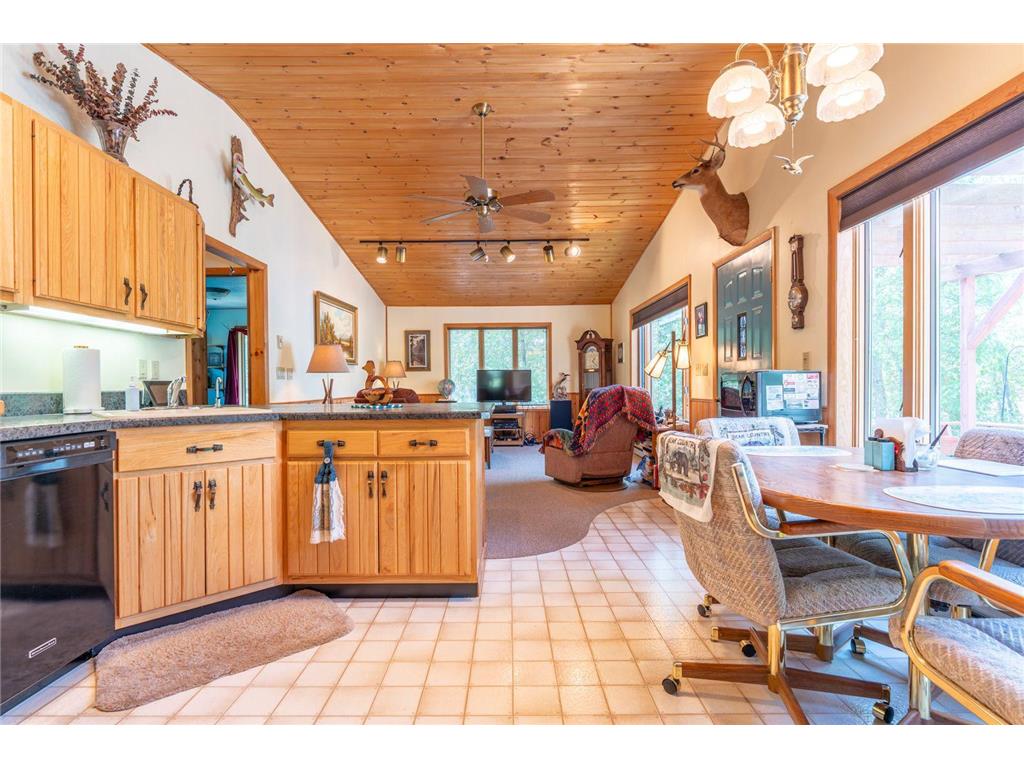 5399 Pine Island N Tower MN 55790 - Vermilion 7084555 image3