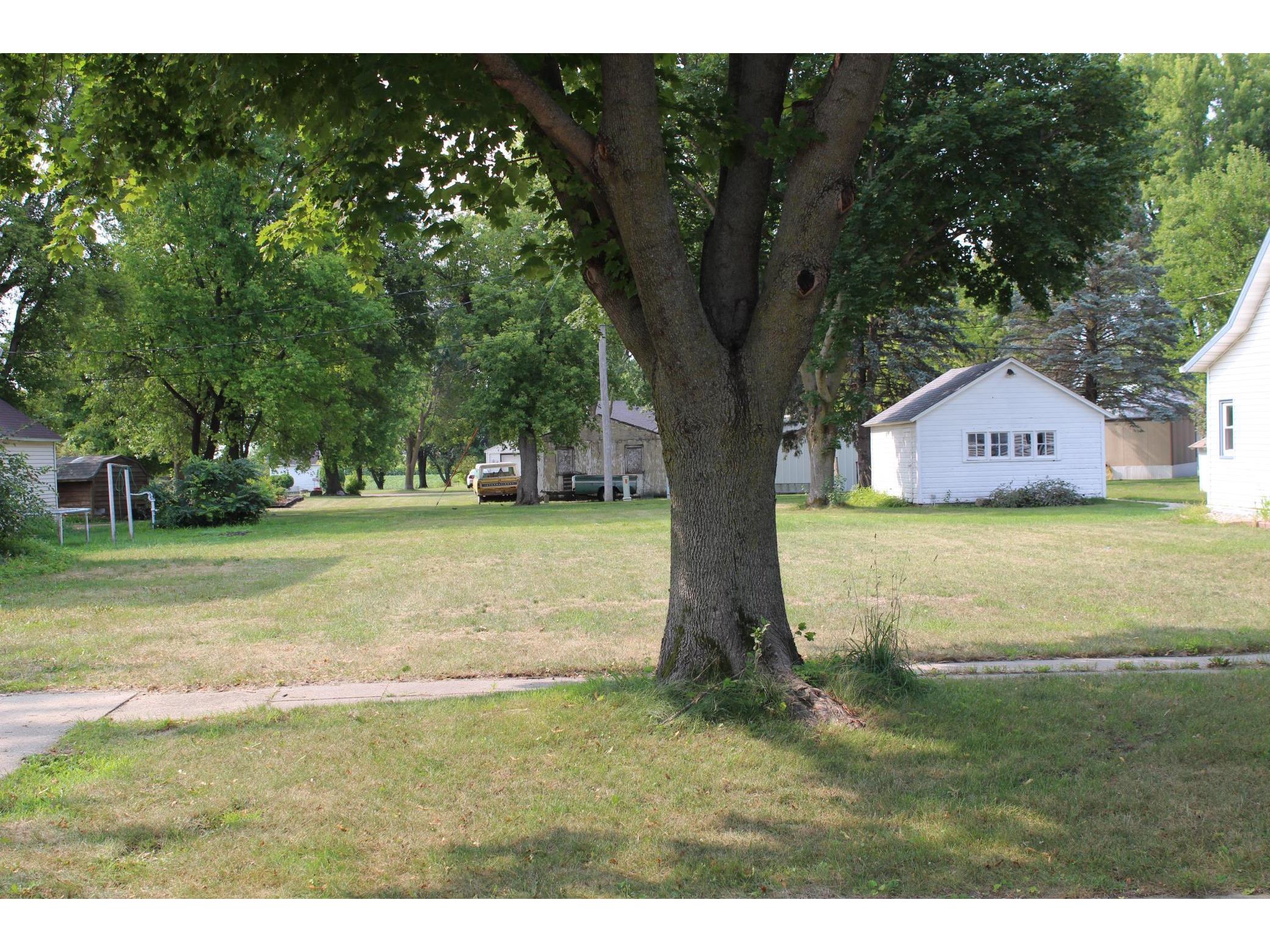 540 Ash Street E, Trimont, MN 56176 MLS 6085792 Edina Realty