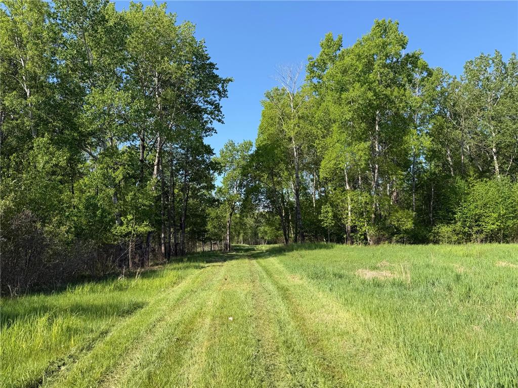 54003 Dollar Lake Road Wilma Twp MN 55072 7085590 image1