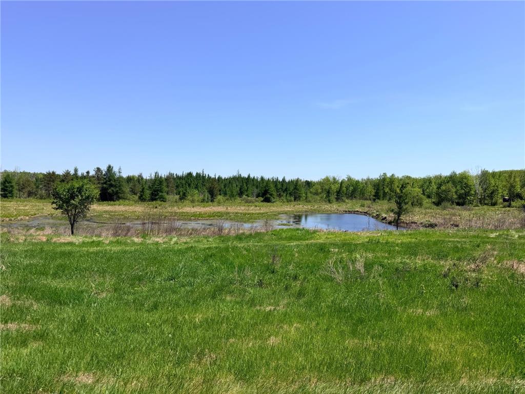 54003 Dollar Lake Road Wilma Twp MN 55072 7085590 image10