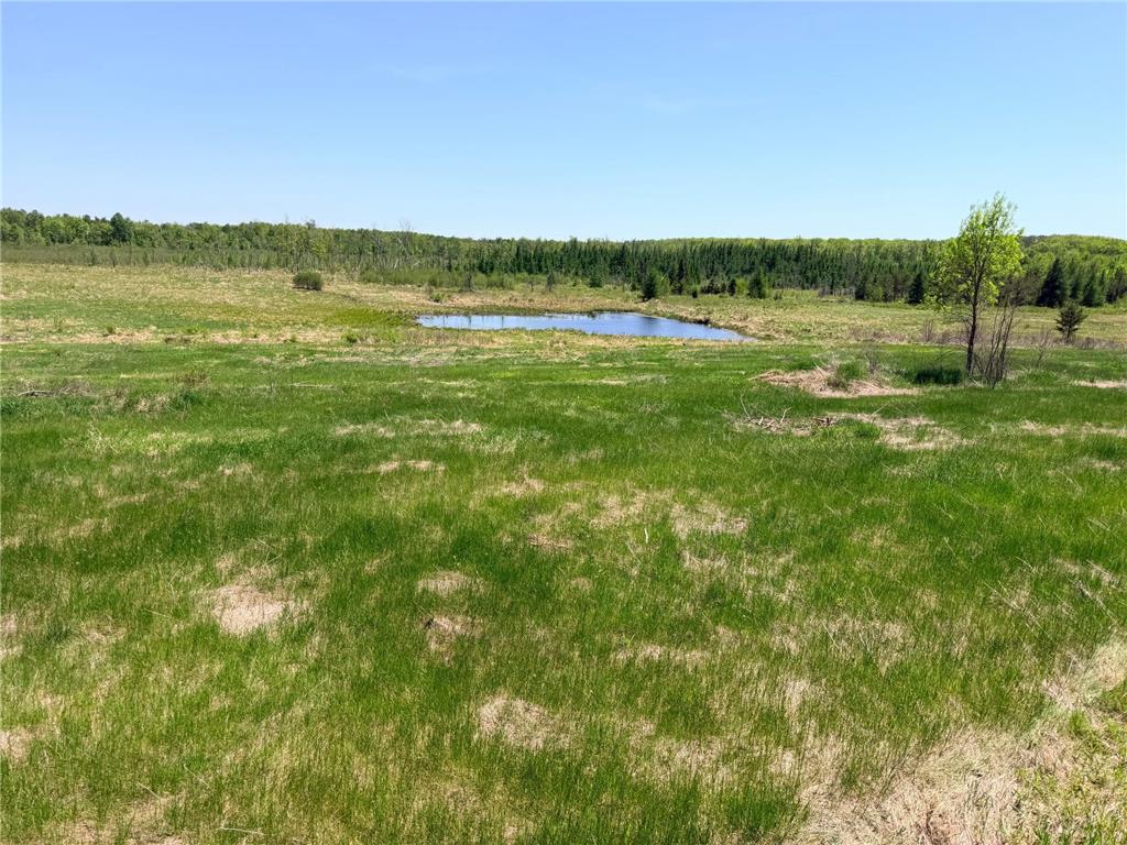 54003 Dollar Lake Road Wilma Twp MN 55072 7085590 image11