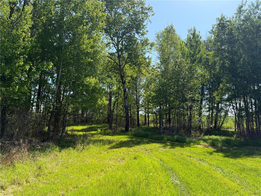 54003 Dollar Lake Road Wilma Twp MN 55072 7085590 image12