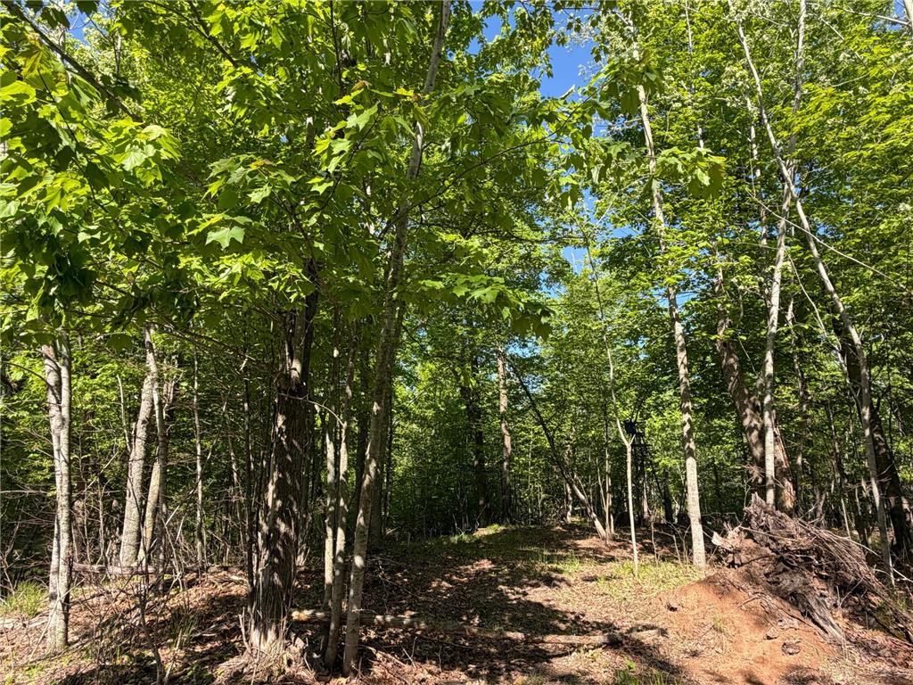 54003 Dollar Lake Road Wilma Twp MN 55072 7085590 image13