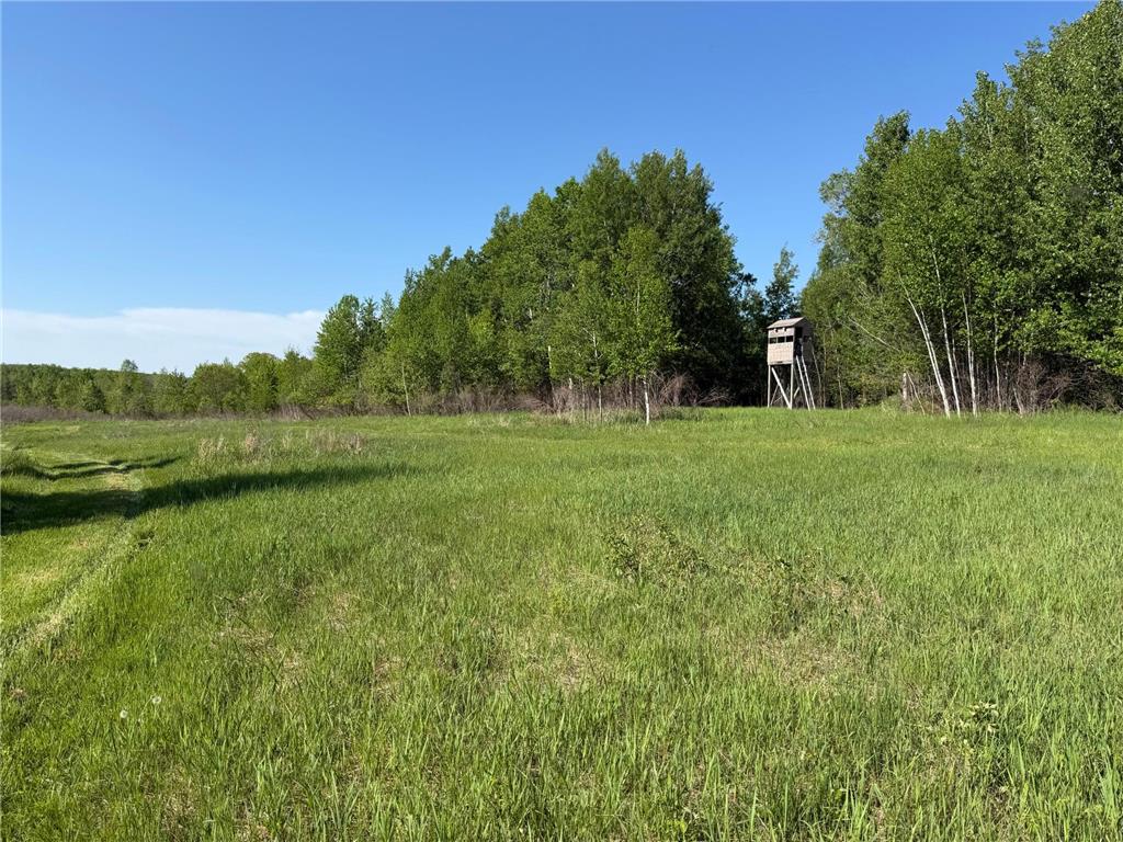 54003 Dollar Lake Road Wilma Twp MN 55072 7085590 image14