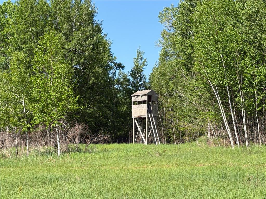 54003 Dollar Lake Road Wilma Twp MN 55072 7085590 image15