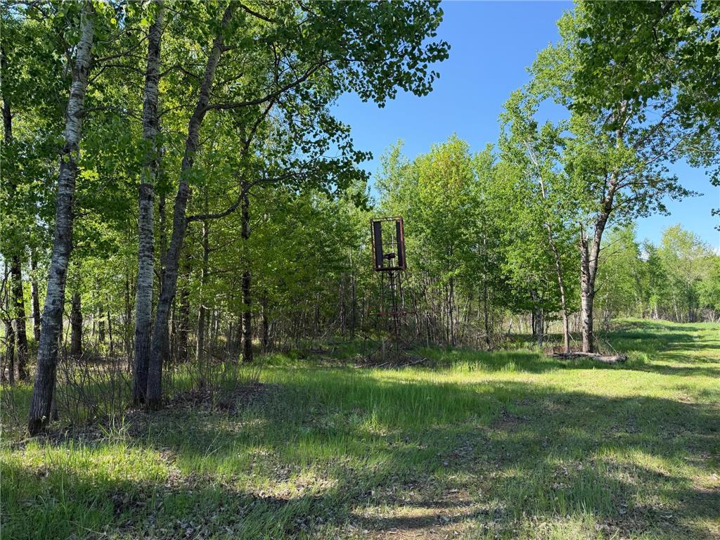 54003 Dollar Lake Road Wilma Twp MN 55072 7085590 image17