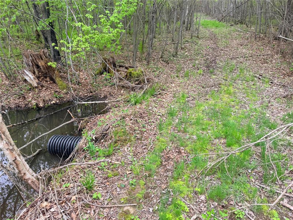 54003 Dollar Lake Road Wilma Twp MN 55072 7085590 image18