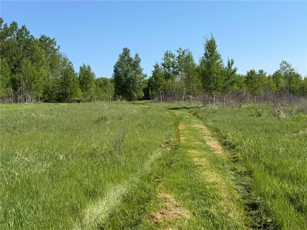 54003 Dollar Lake Road Wilma Twp MN 55072 7085590 image19