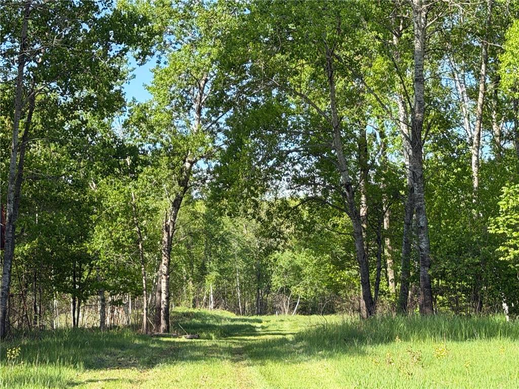 54003 Dollar Lake Road Wilma Twp MN 55072 7085590 image2