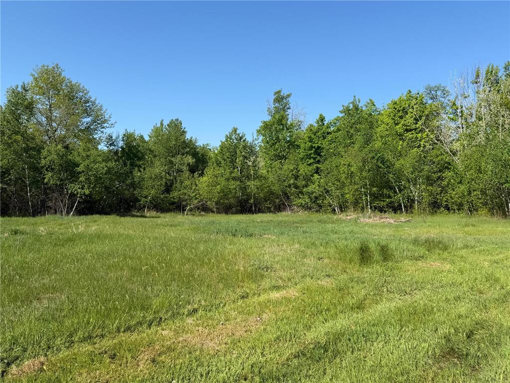 54003 Dollar Lake Road Wilma Twp MN 55072 7085590 image20