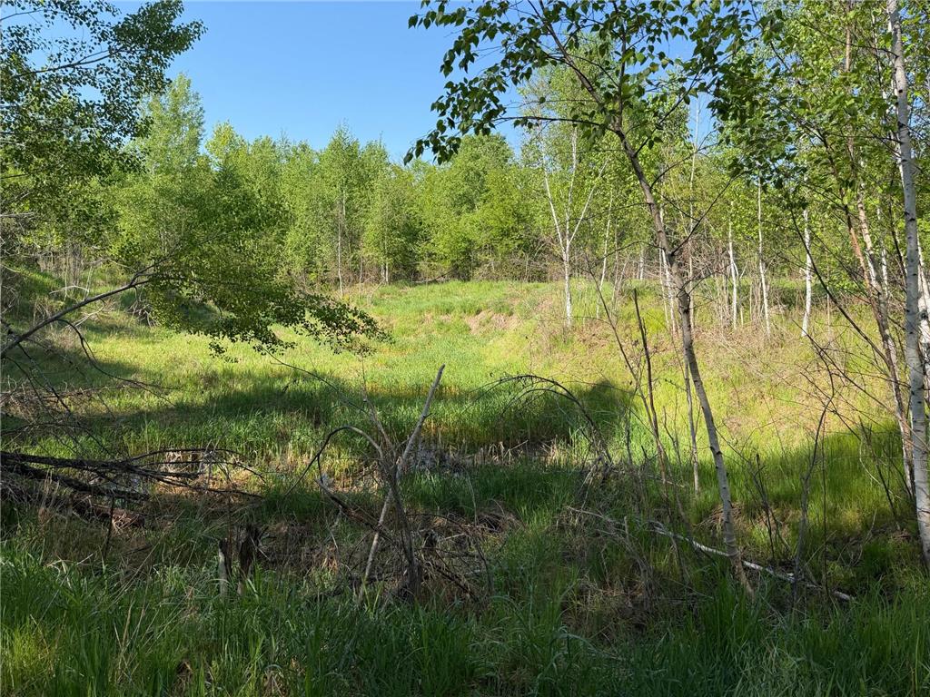 54003 Dollar Lake Road Wilma Twp MN 55072 7085590 image21