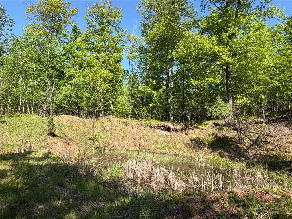 54003 Dollar Lake Road Wilma Twp MN 55072 7085590 image22