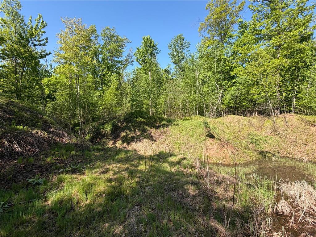 54003 Dollar Lake Road Wilma Twp MN 55072 7085590 image23