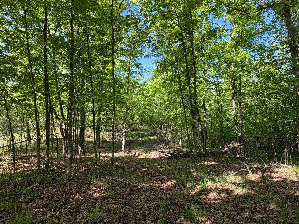 54003 Dollar Lake Road Wilma Twp MN 55072 7085590 image24